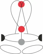Привязь страховочная GOLDEN TOP PLUS 2024, размер S-L, CAMP