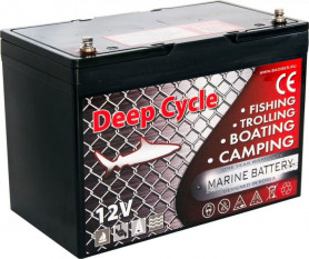 Аккумулятор Marine Deep Cycle GEL 90 Ah 12V (CG12-90TXA)